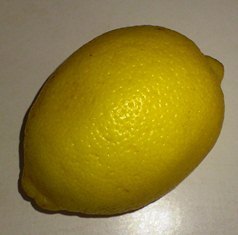 レモン.JPG